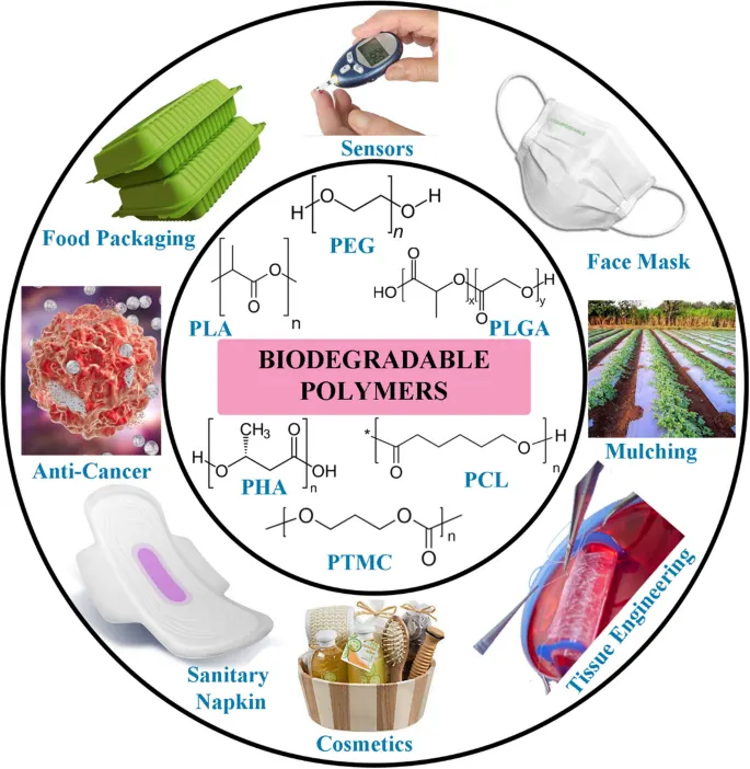 Development of Biodegradable Polymers for Environmental Sustainability - Issue cover