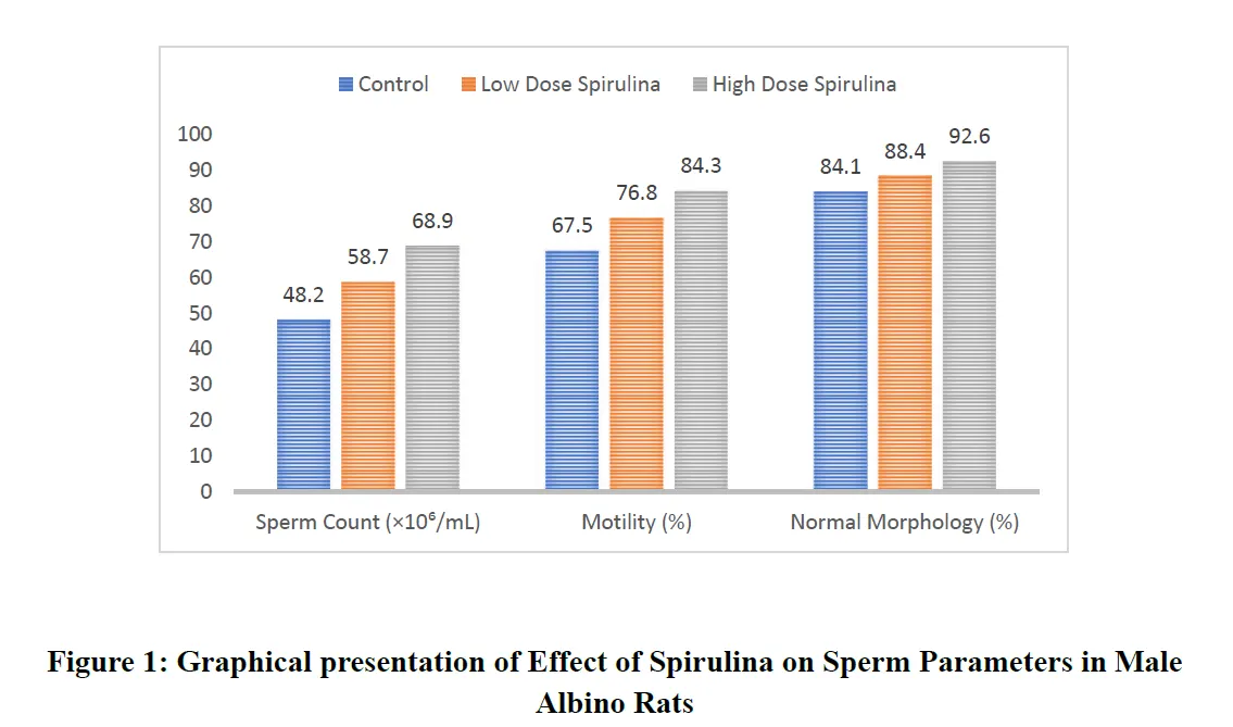 Role Of Dietary Spirulina in Reproductive Potential in Male Albino Rats - Issue cover