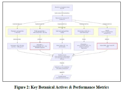 Nano‑Herbal Shields: Advances in Phytochemical Nanocarriers for Ultraviolet Protection - Issue cover