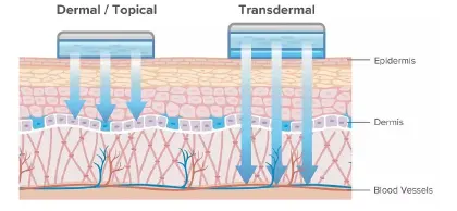 Transdermal Drug Delivery: Advances In Permeation Enhancers and Microneedles - Issue cover