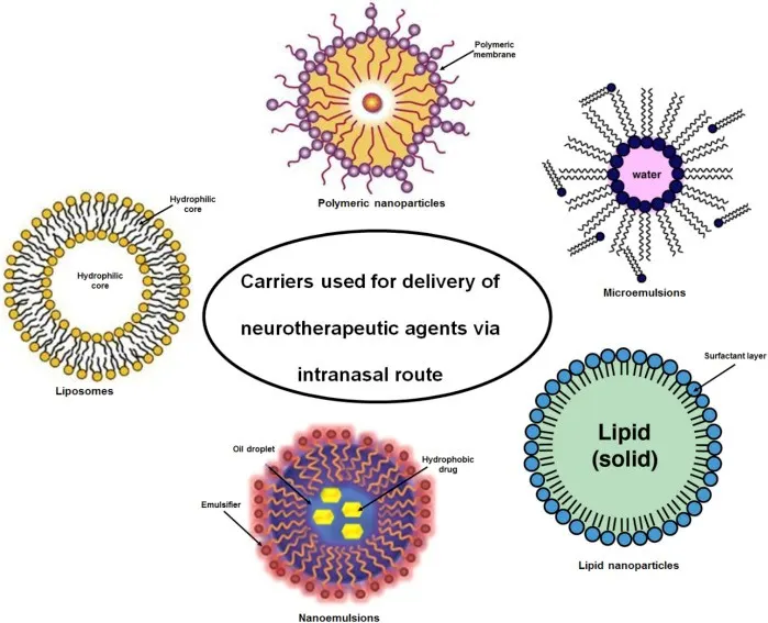 The Evolving Role of Pharmaceutics in Personalized Medicine: From Conventional Dosage Forms to Nano-Enabled Drug Carriers - Issue cover