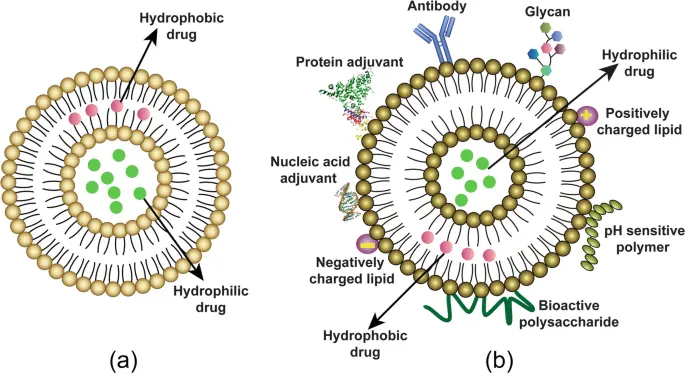 Comparative Evaluation of Liposomes and Niosomes in Gene Delivery - Issue cover