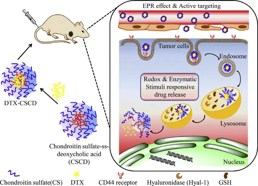 Injectable Liposomal Formulations for Sustained Release of Anticancer Drugs - Issue cover